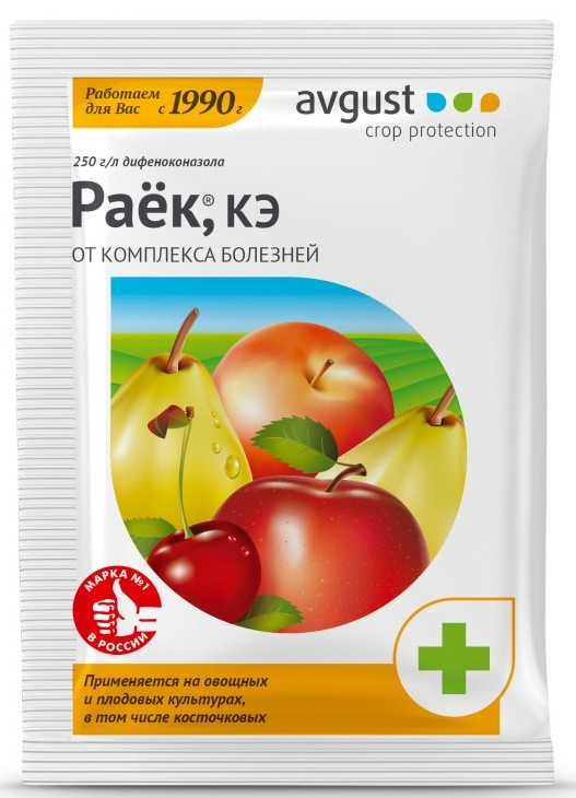 Раёк (АО Фирма "Август")