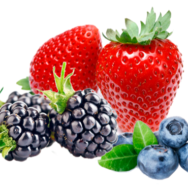 Питомник Суперклубника